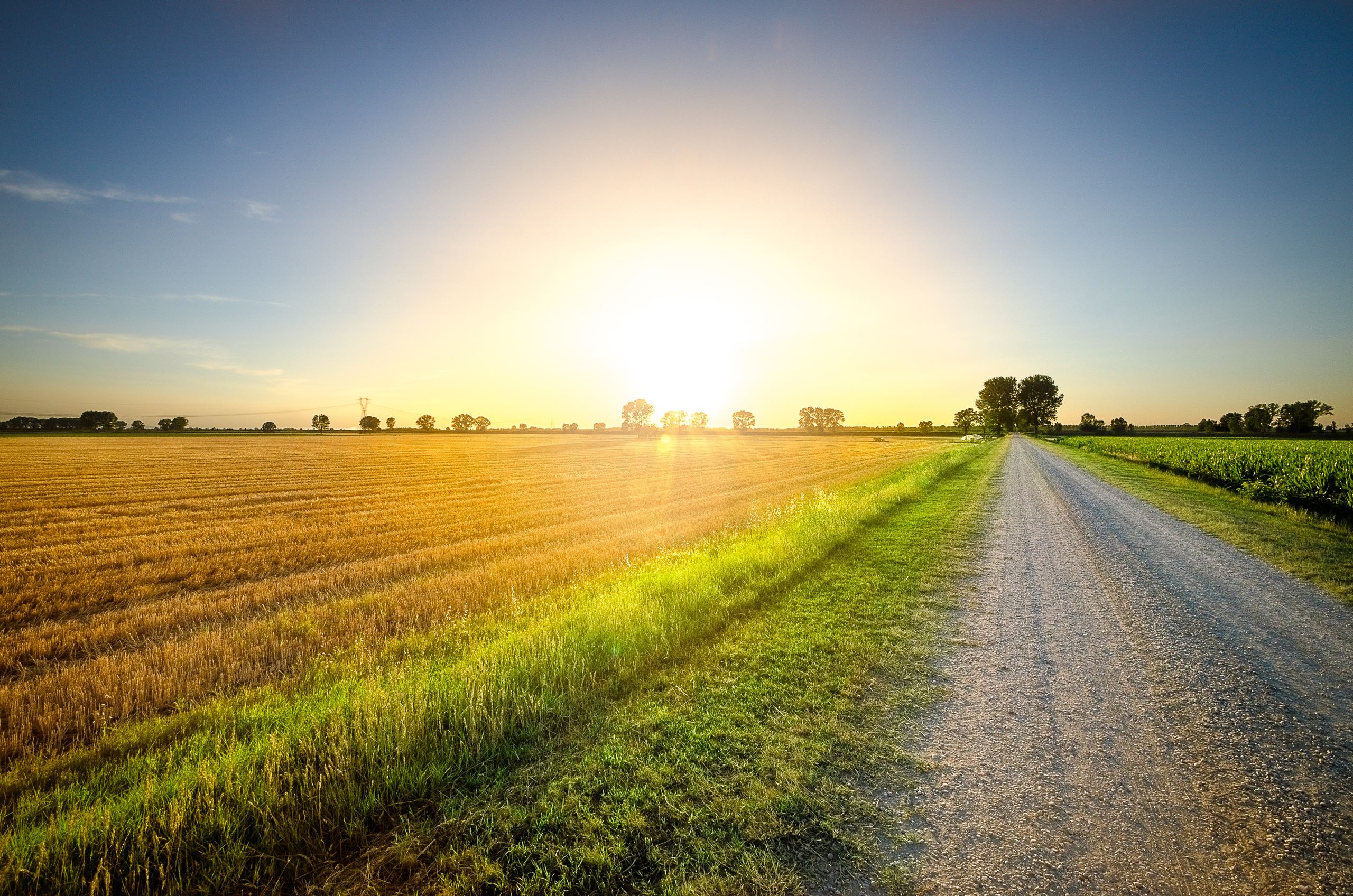 dirt road next to a cut wheat field during sunset