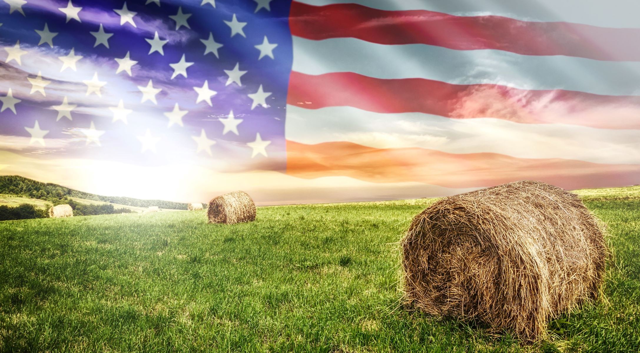 digital American Flag as the skyscape with hay bales in a green pasture