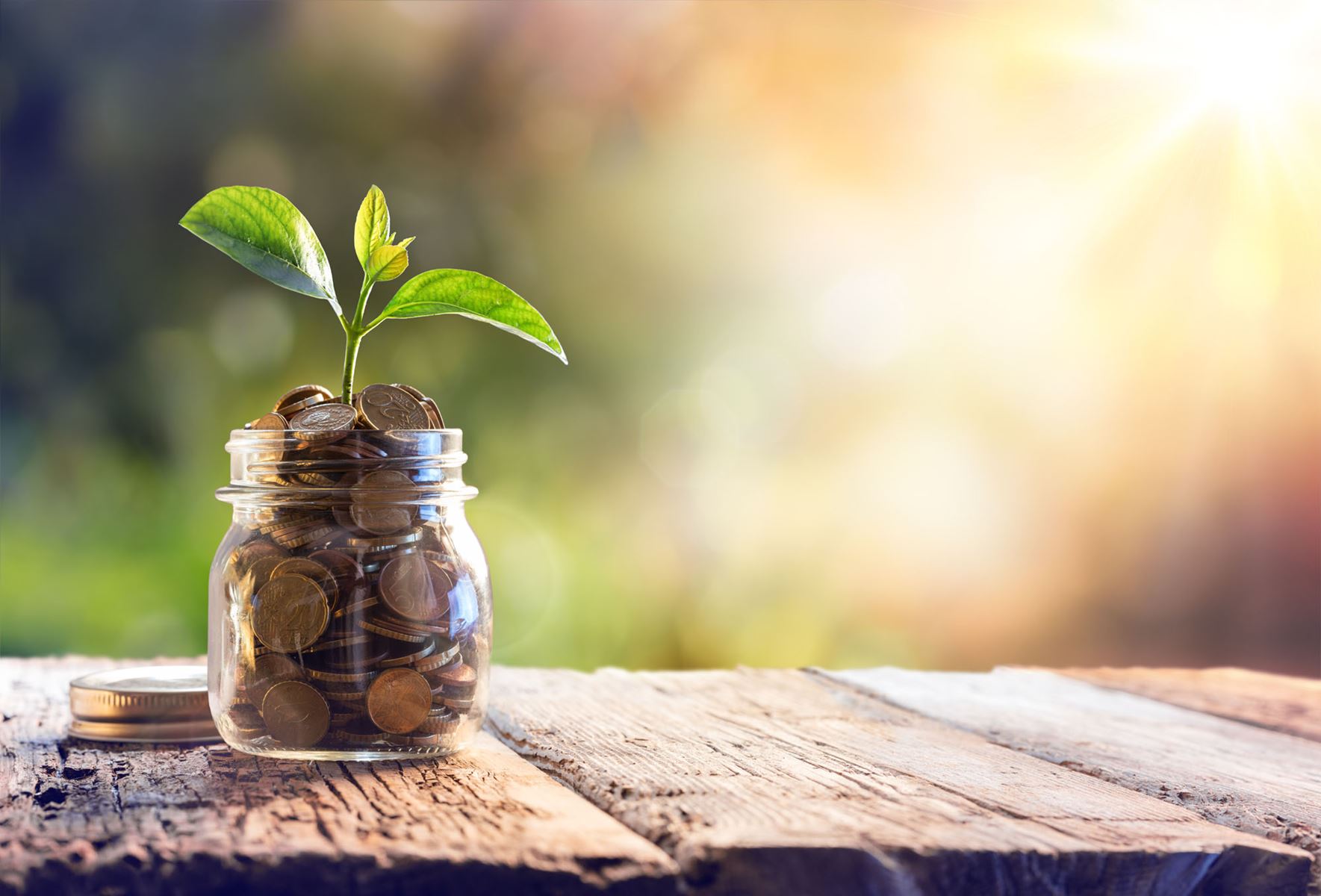 coins in a jar with a plant growing out of the jar